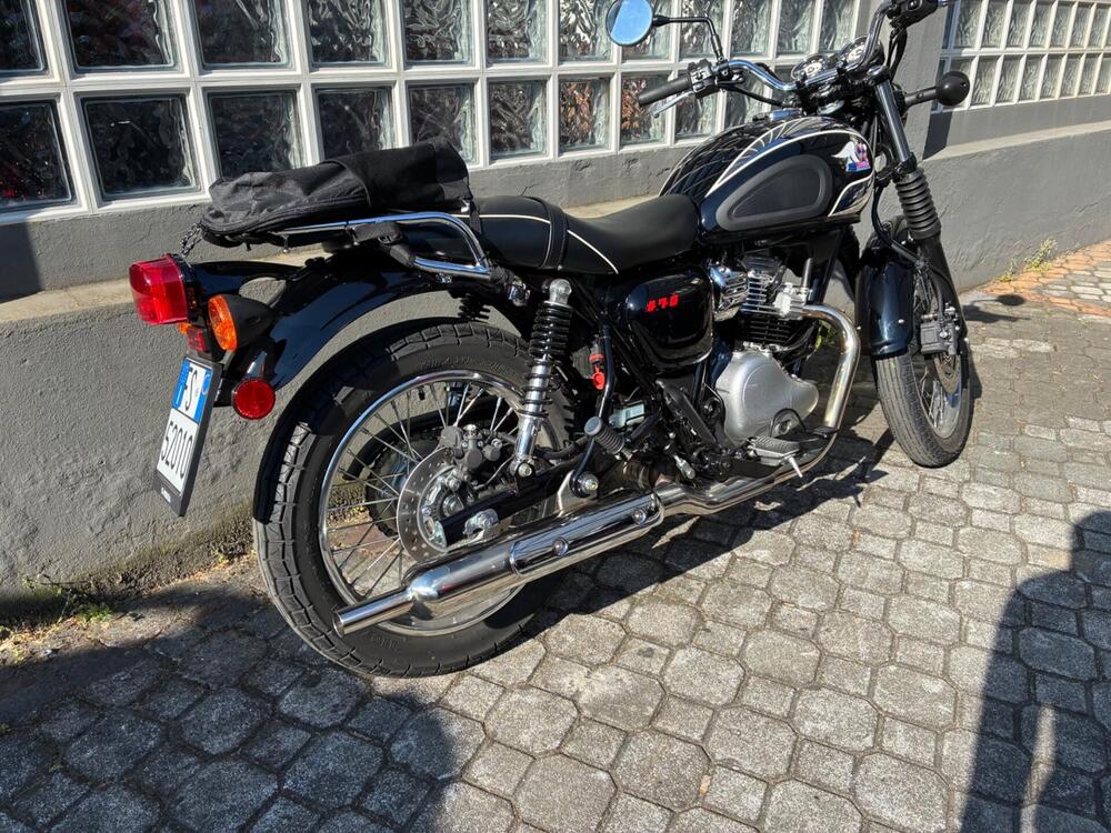 Kawasaki W 230 (2025 - 26) (4)