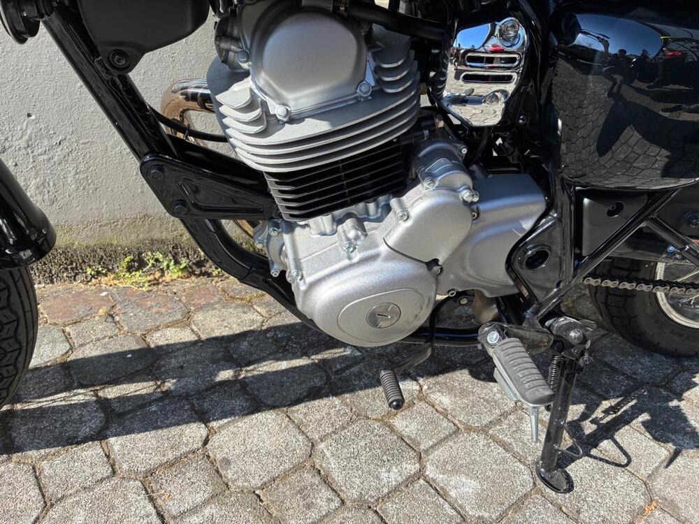 Kawasaki W 230 (2025 - 26) (8)