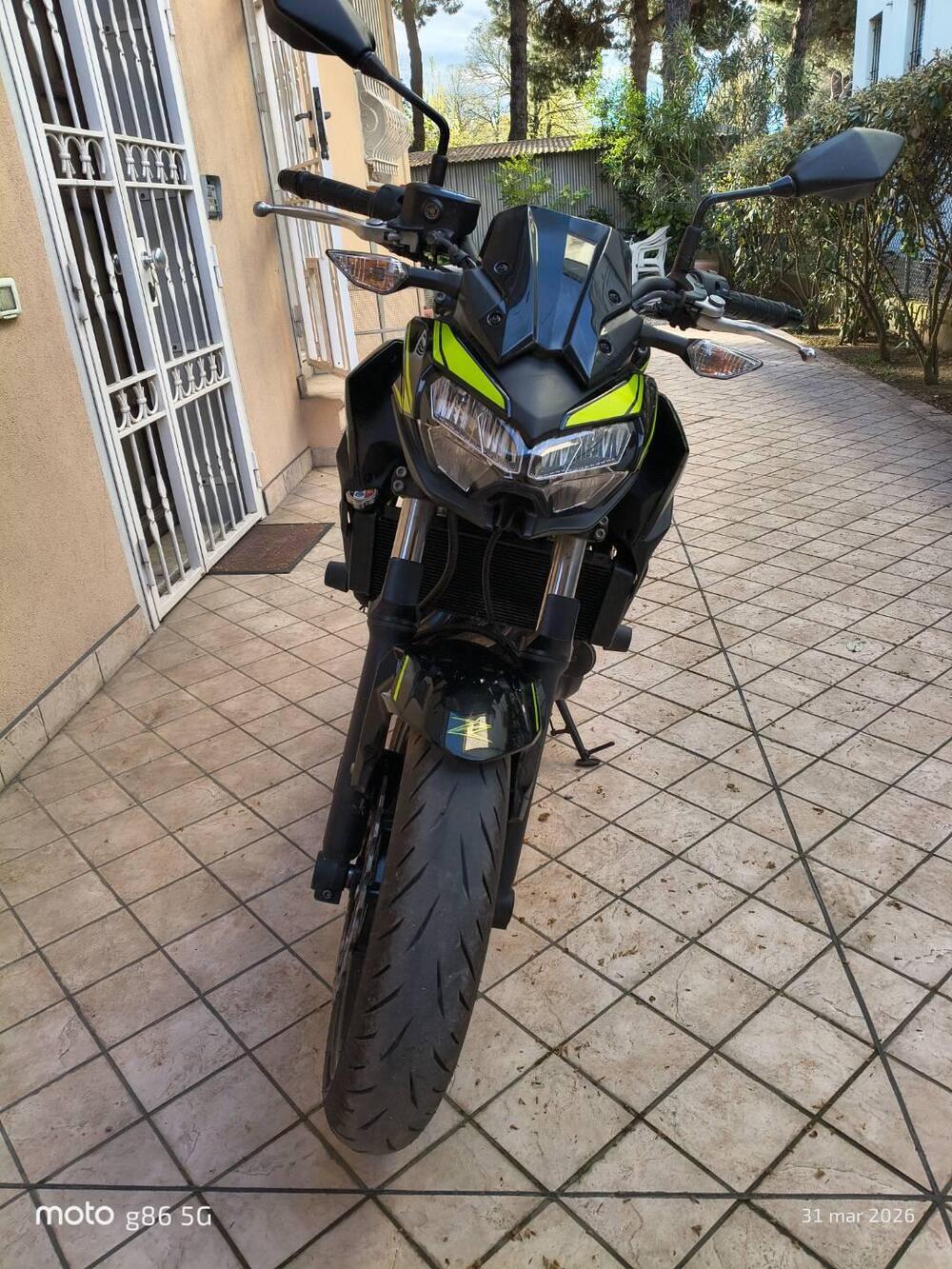 Kawasaki Z 650 (2020) (5)