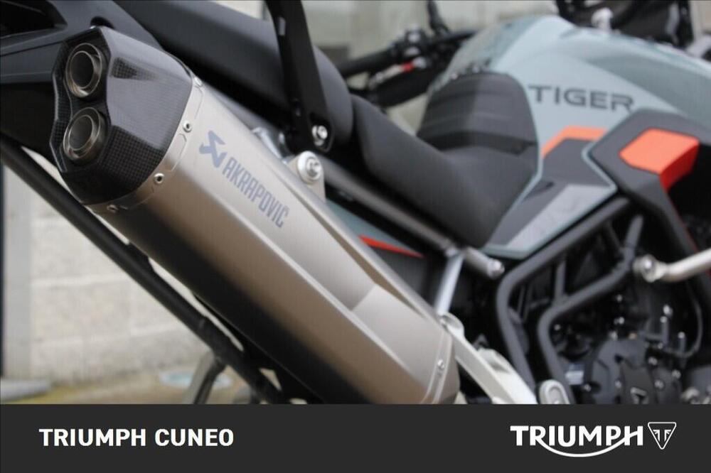 Triumph Tiger 900 Desert Special Edition (2026) (6)