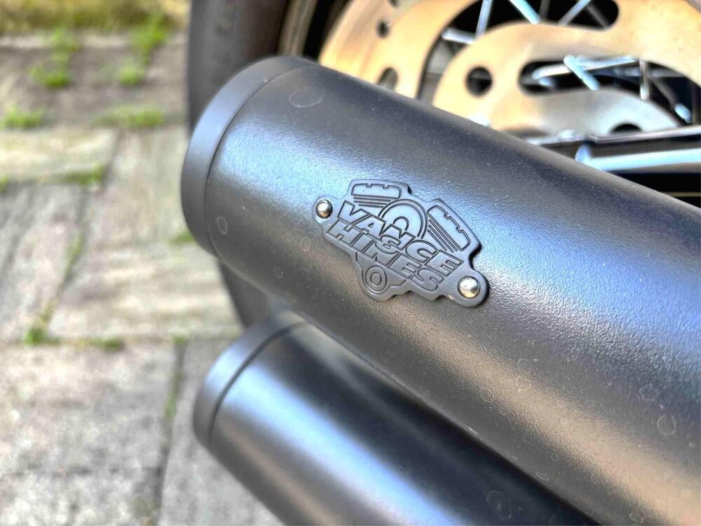 Harley-Davidson 107 Slim (2018 - 20) - FLSL (4)