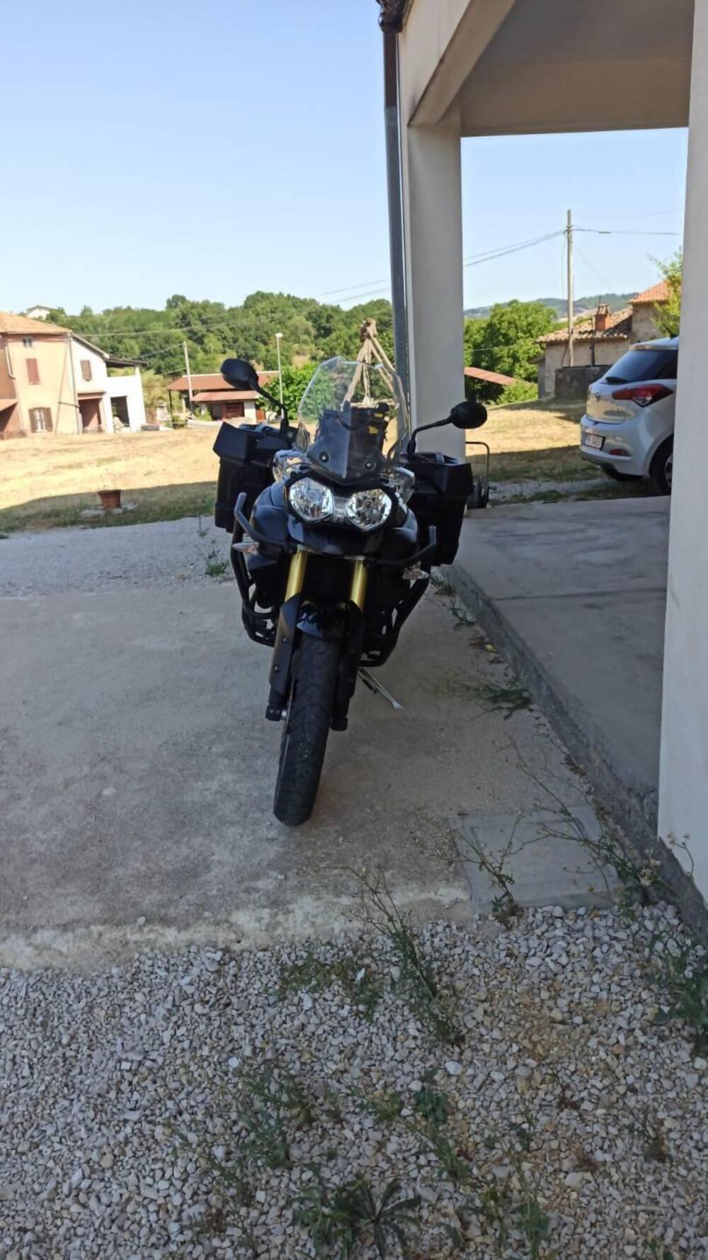 Triumph Tiger 800 ABS (2010 - 14) (2)