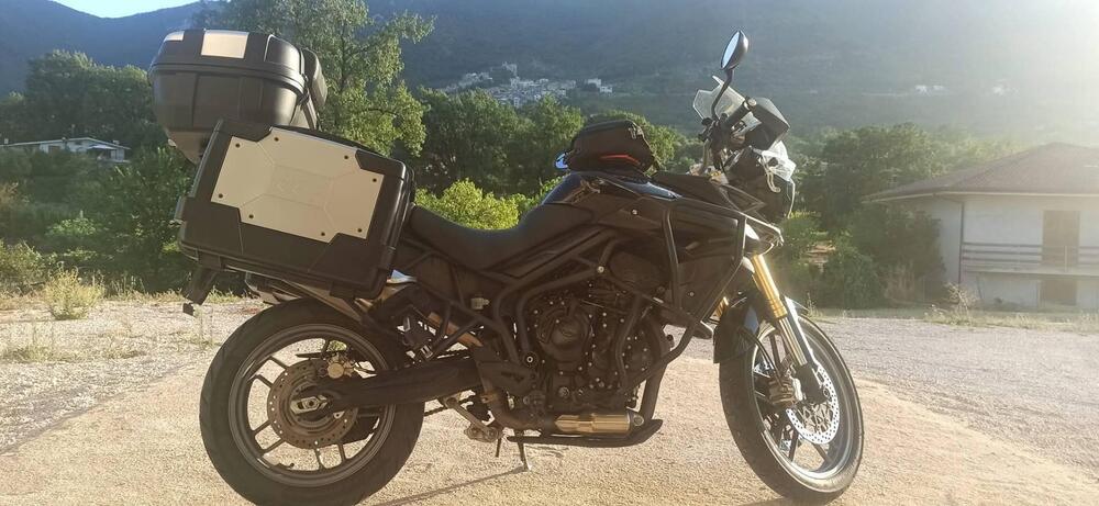 Triumph Tiger 800 ABS (2010 - 14) (3)