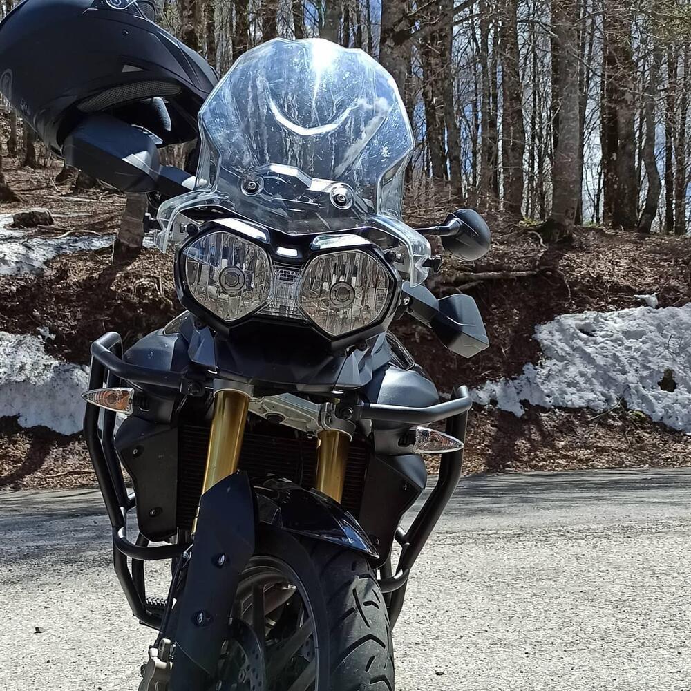 Triumph Tiger 800 ABS (2010 - 14) (5)