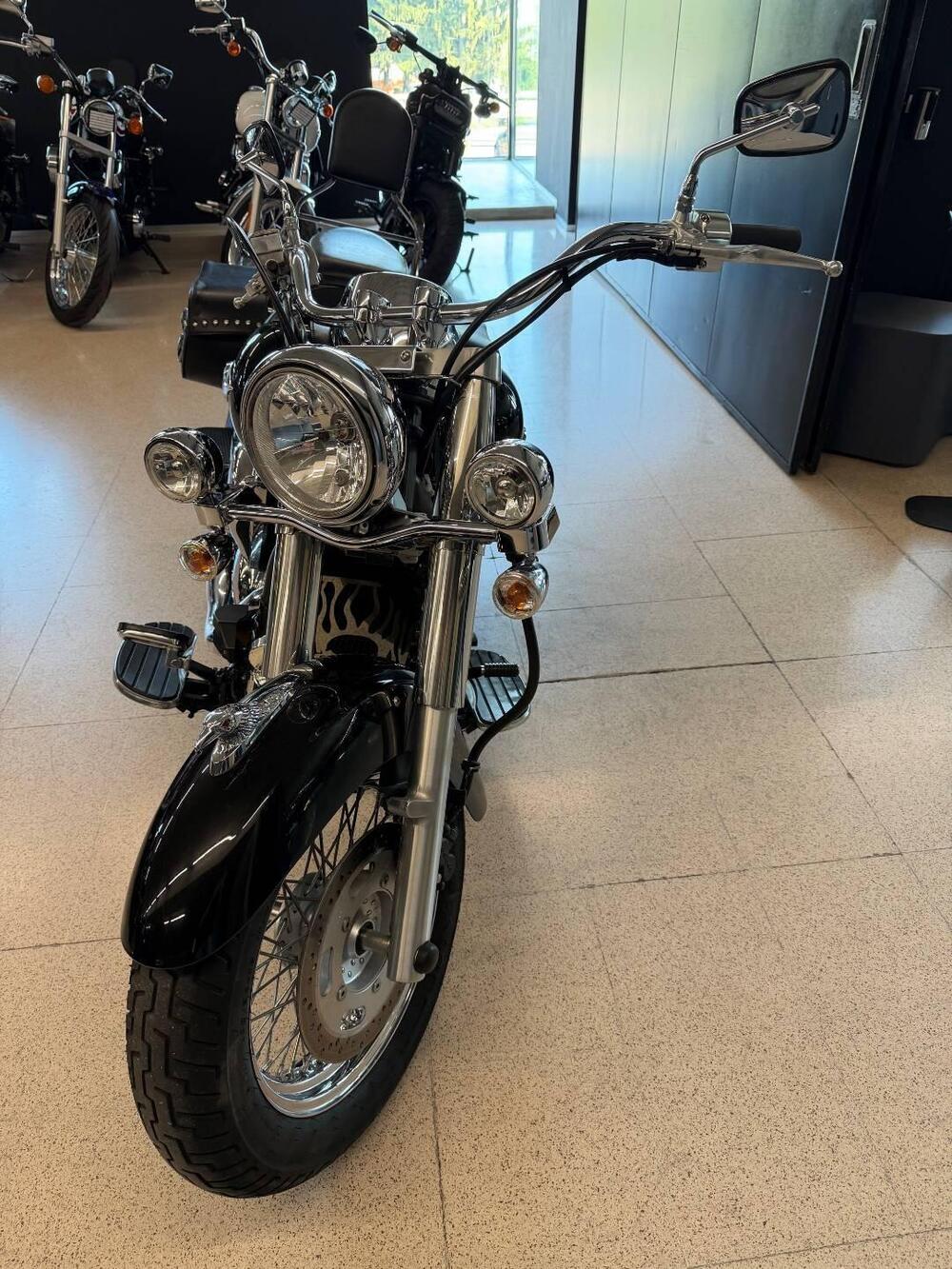 Kawasaki Vulcan VN 900 Classic (2006 - 10) (3)