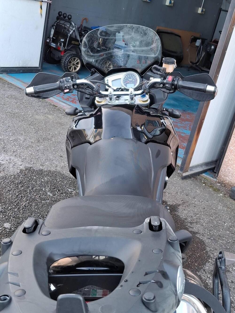 Triumph Tiger 1050 (2006 - 12) (4)