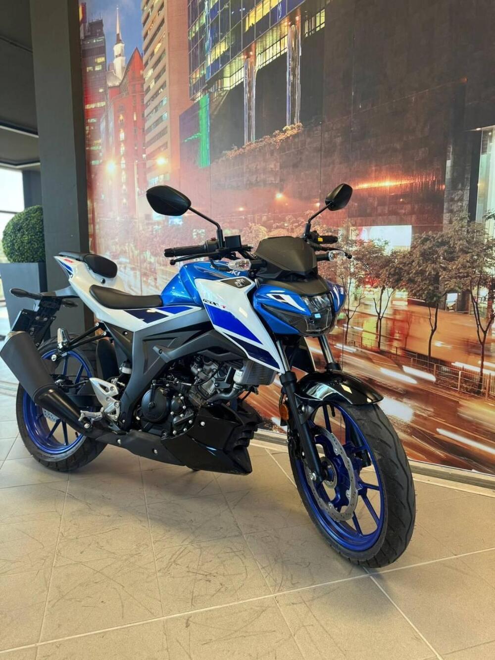 Suzuki GSX-S125 (2025 - 26) (2)