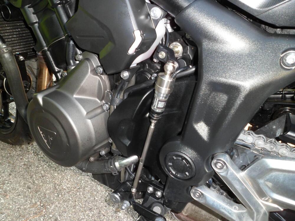 Triumph Trident 660 (2021 - 24) (6)