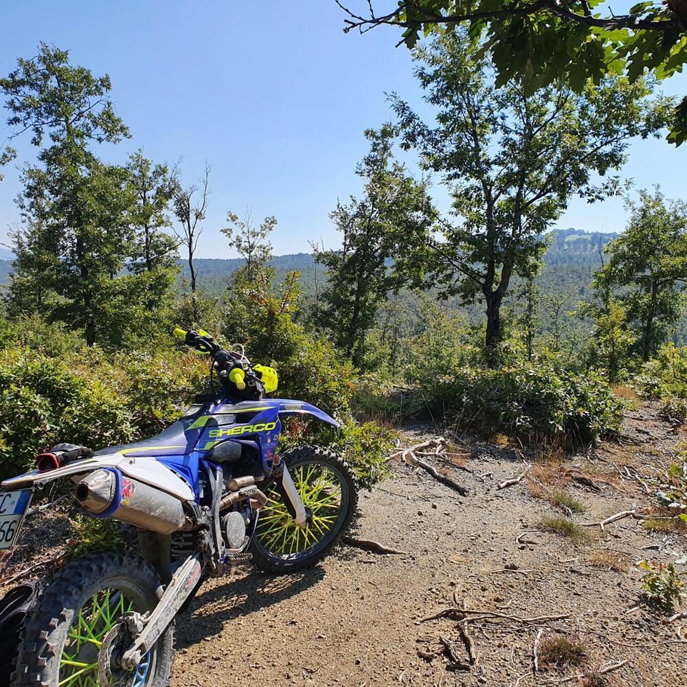 Sherco 300 SEF-R Factory (2016)