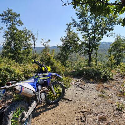 Sherco 300 SEF-R Factory (2016) usata