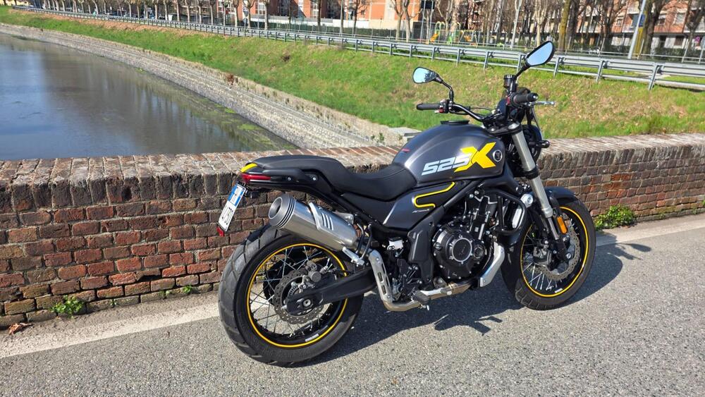Voge Trofeo 525ACX Scrambler (2023 - 26) (6)