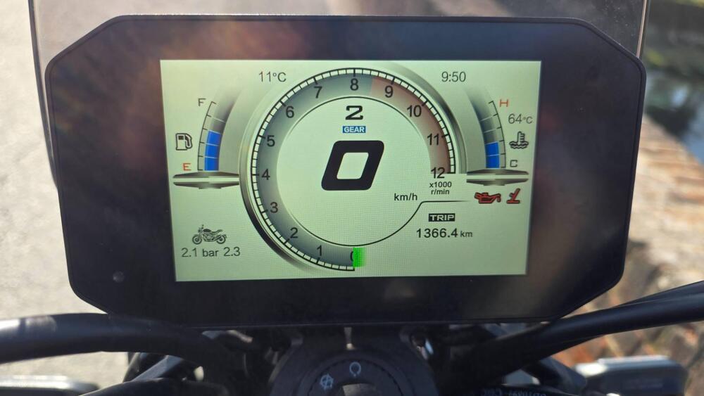 Voge Trofeo 525ACX Scrambler (2023 - 26) (7)