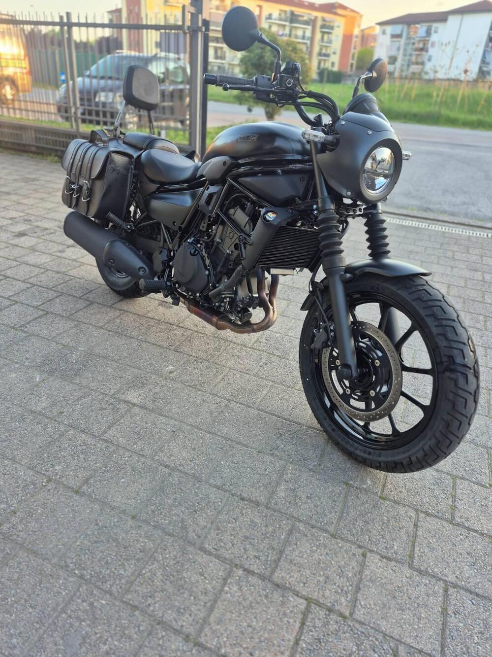 Kawasaki Eliminator 500 SE (2024 - 26) (5)