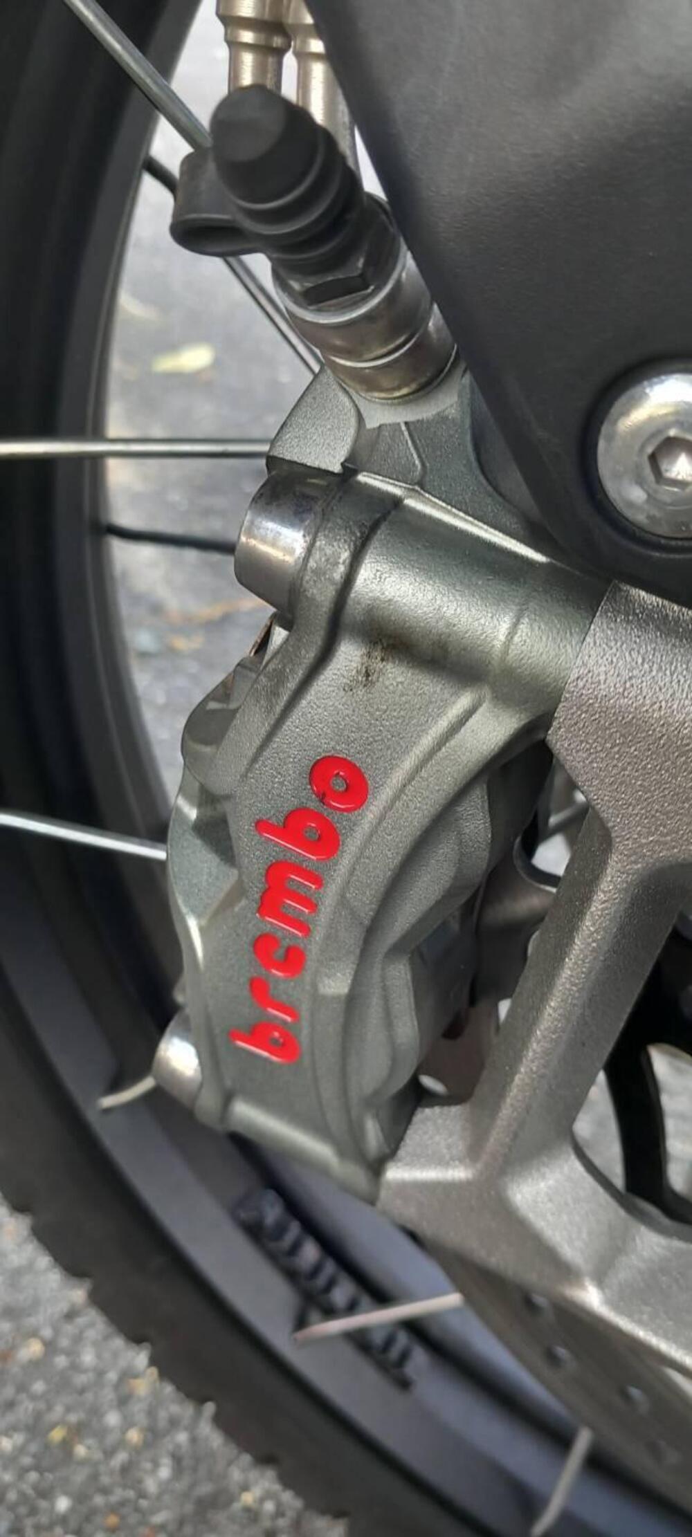 Triumph Tiger 900 Rally Pro (2020 - 23) (7)