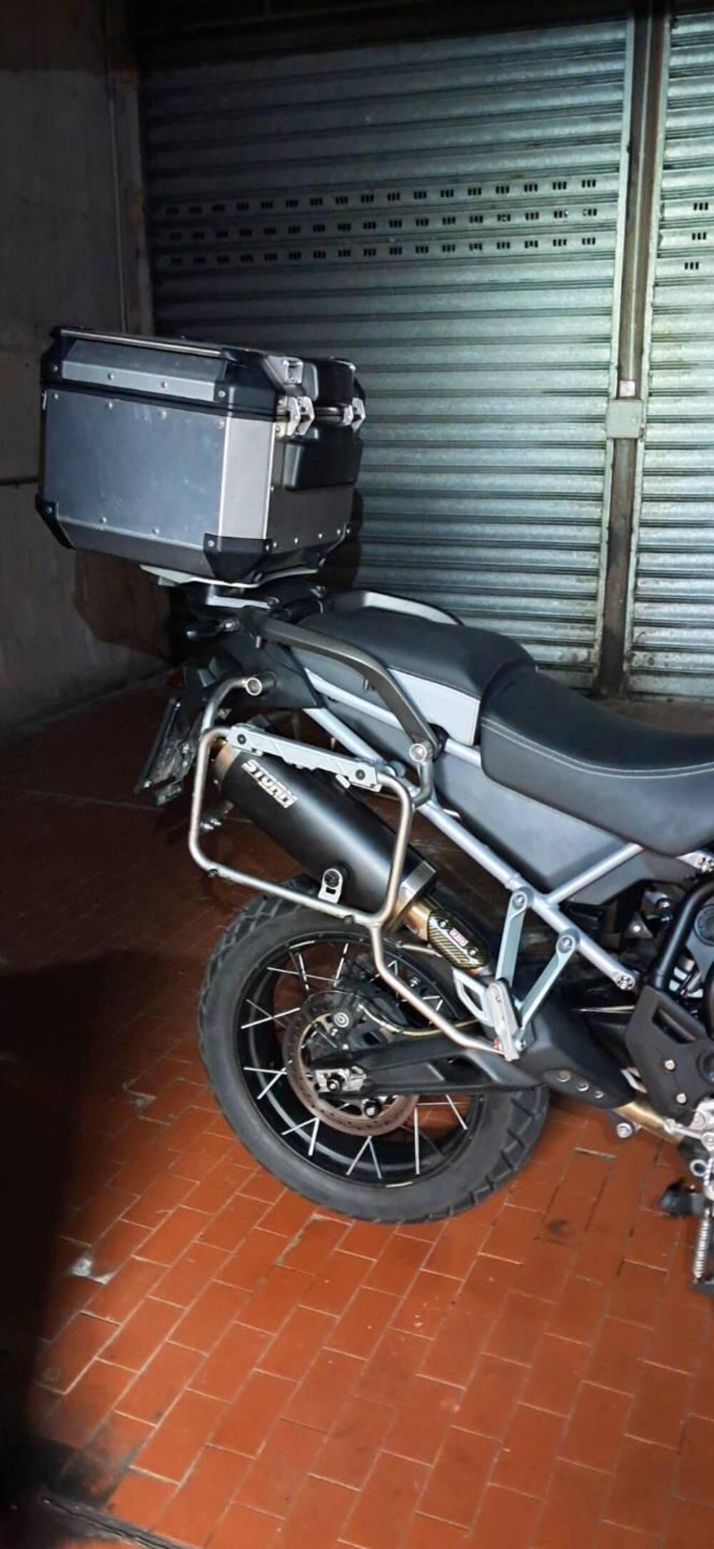 Triumph Tiger 900 Rally Pro (2020 - 23) (11)