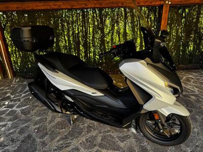 Honda Forza 350 (2022 - 24) usata