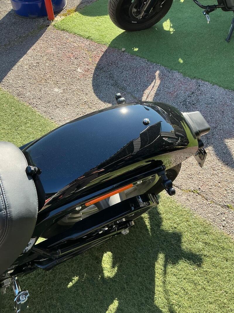 Harley-Davidson Softail Standard (2020) - FXST (12)