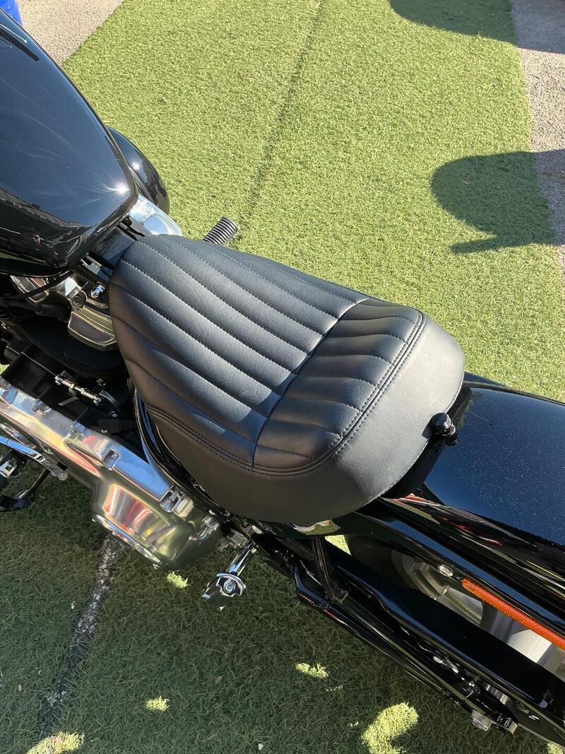Harley-Davidson Softail Standard (2020) - FXST (13)
