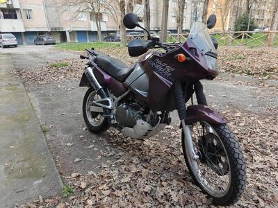 Kawasaki KLE 500 (2001 - 04) usata