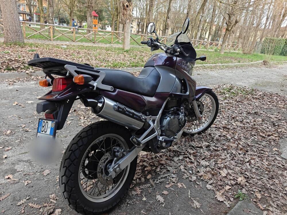 Kawasaki KLE 500 (2001 - 04) (2)