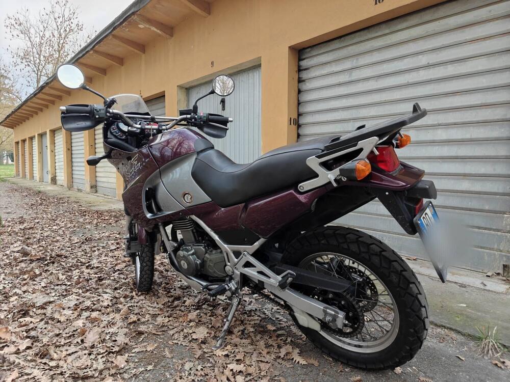 Kawasaki KLE 500 (2001 - 04) (3)