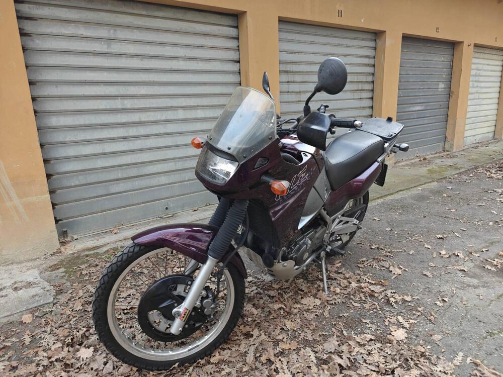 Kawasaki KLE 500 (2001 - 04) (4)