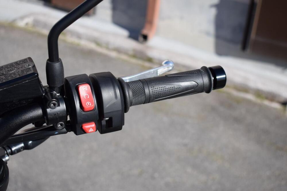 Triumph Trident 660 (2025) (9)