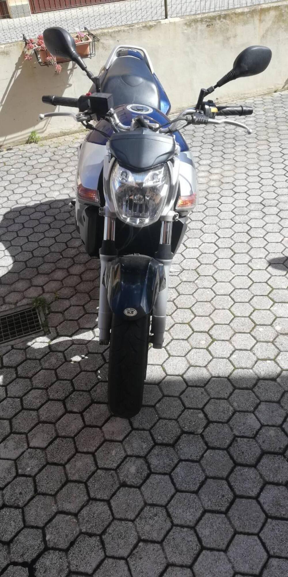 Suzuki GSR 600 (2006 - 11)