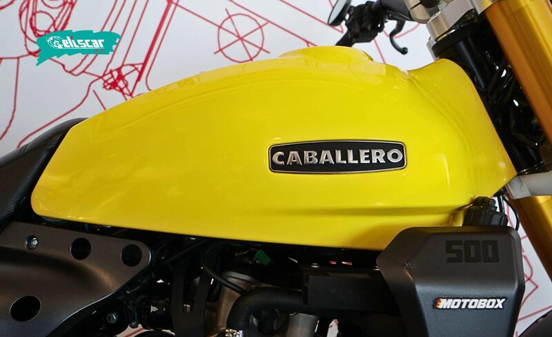 Fantic Motor Caballero 500 Scrambler (2021 - 23) (9)