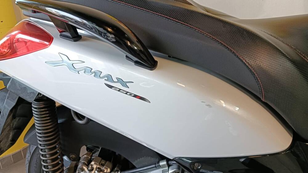Yamaha X-Max 250 (2007 - 09) (7)
