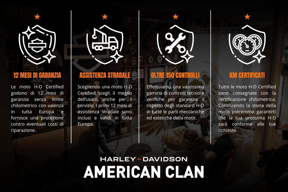 Harley-Davidson 1690 Deluxe ABS (2011 - 16) - FLSTN (3)