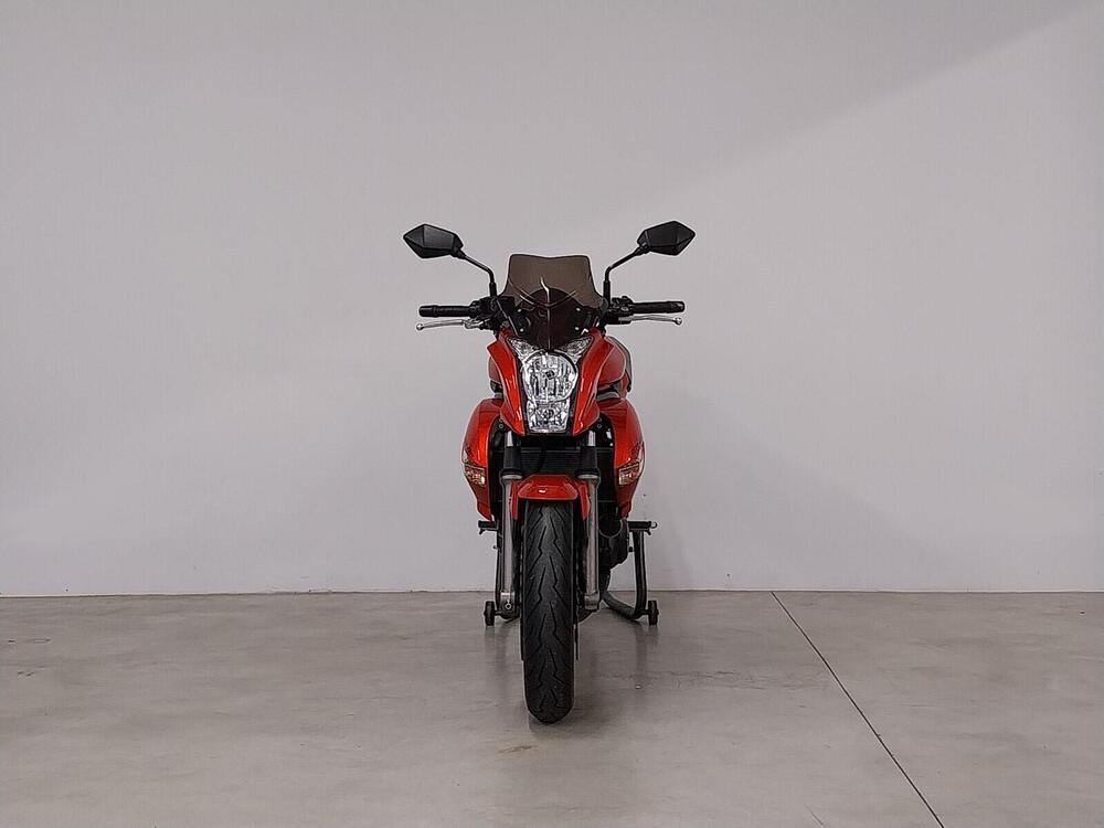 Kawasaki ER-6N (2005 - 08) (3)