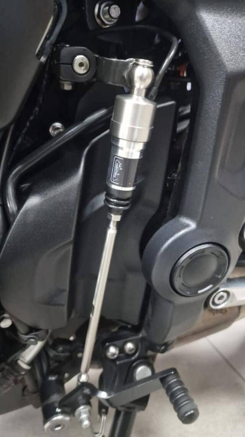 Triumph Trident 660 (2021 - 24) (4)