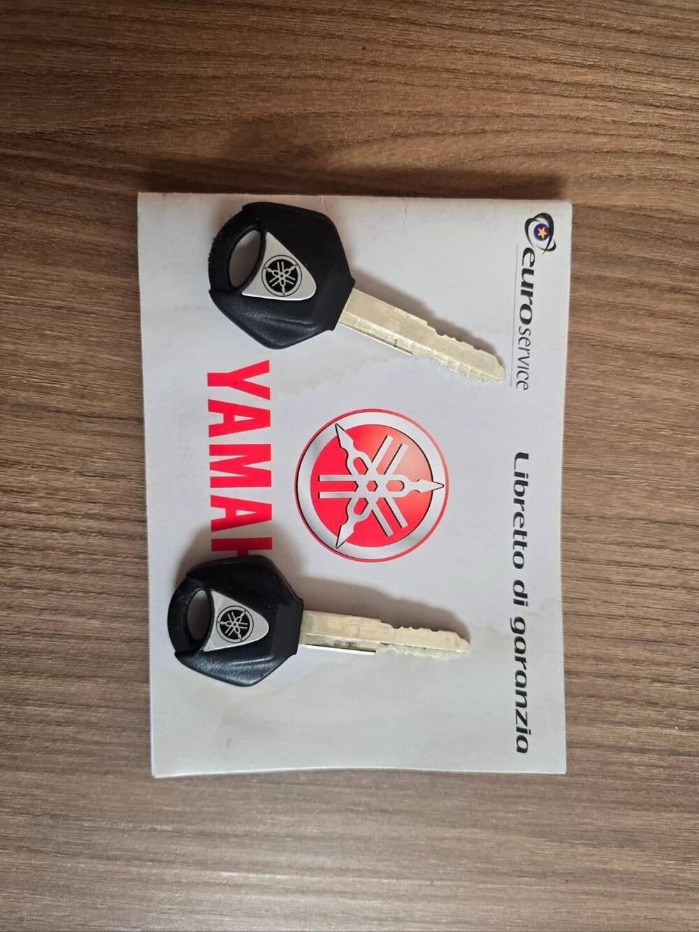 Yamaha FZ6 (2004 - 07) (11)