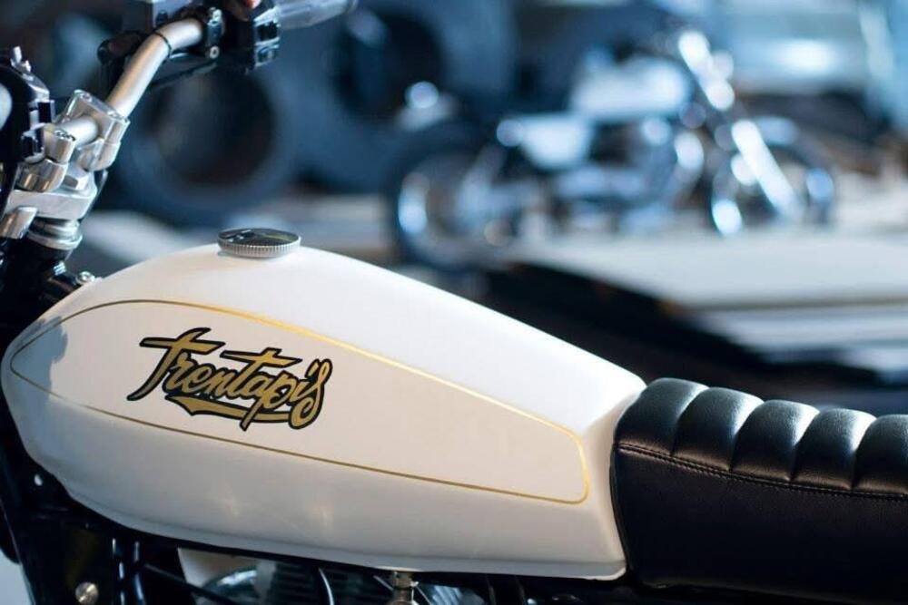 Moto Guzzi Nevada 750 (2002 - 06) (3)