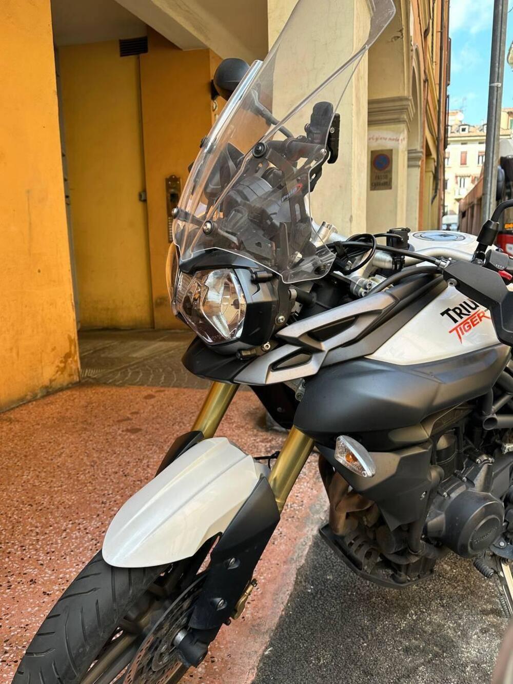 Triumph Tiger 800 (2010 - 14) (3)