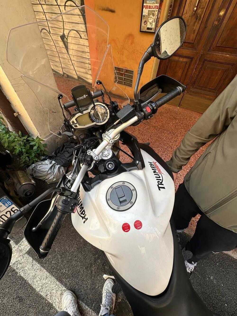 Triumph Tiger 800 (2010 - 14) (7)