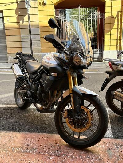Triumph Tiger 800 (2010 - 14) usata