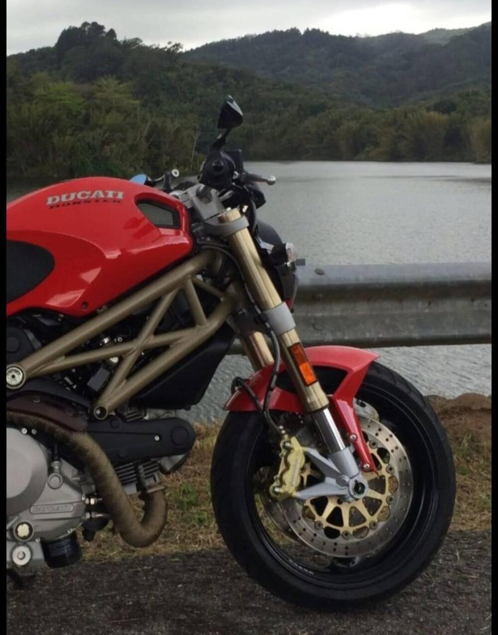 Ducati Monster 696 (2008 - 13) (2)