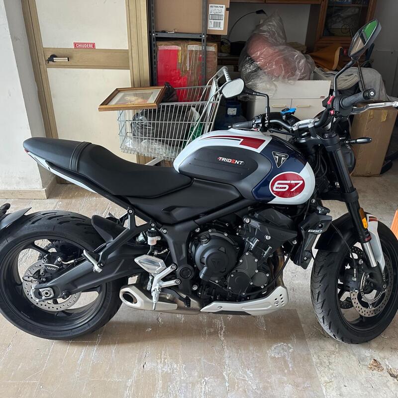 Triumph Trident 660 Triple Tribute Edition (2024)