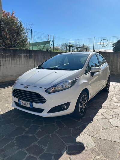 Ford Fiesta Plus 1.5 TDCi 75CV 5 porte del 2016 usata a Cornate d'Adda