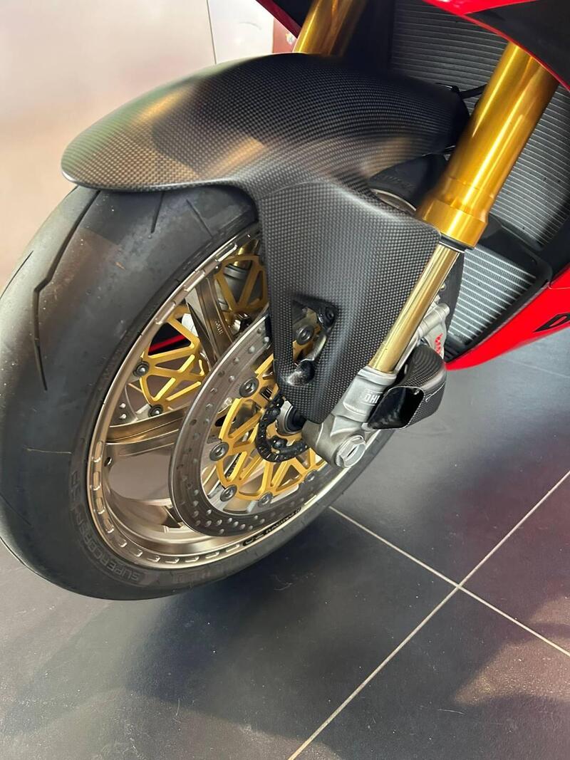 Ducati Panigale V4 R (2023 - 24) (8)