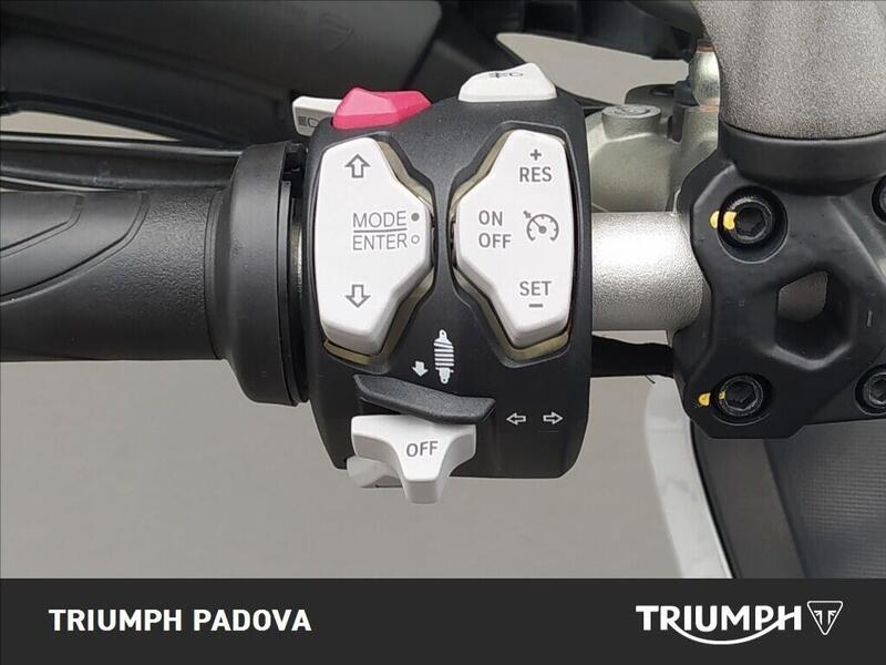 Ducati Multistrada 950 S (2019 - 20) (12)