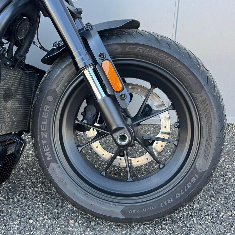Harley-Davidson Sportster S (2022 - 24) (2)