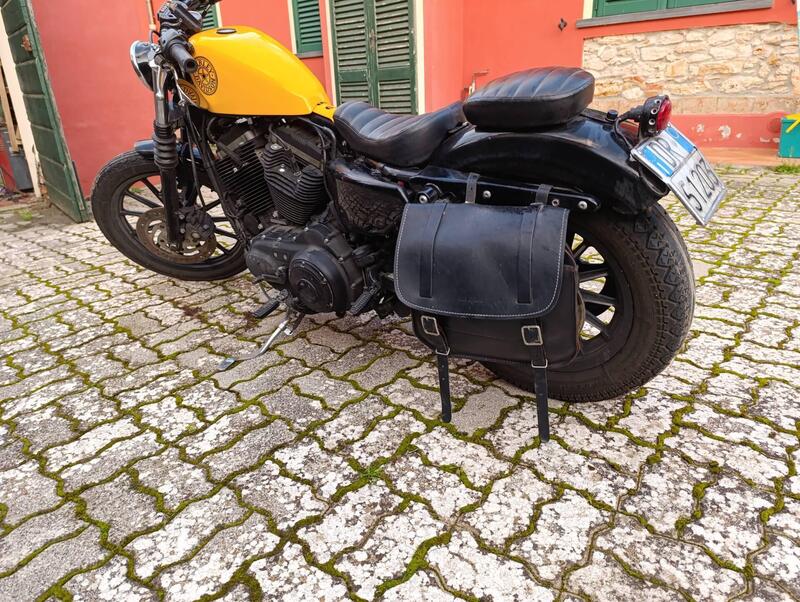 Harley-Davidson 883 Iron (2014 - 16) - XL 883N (2)