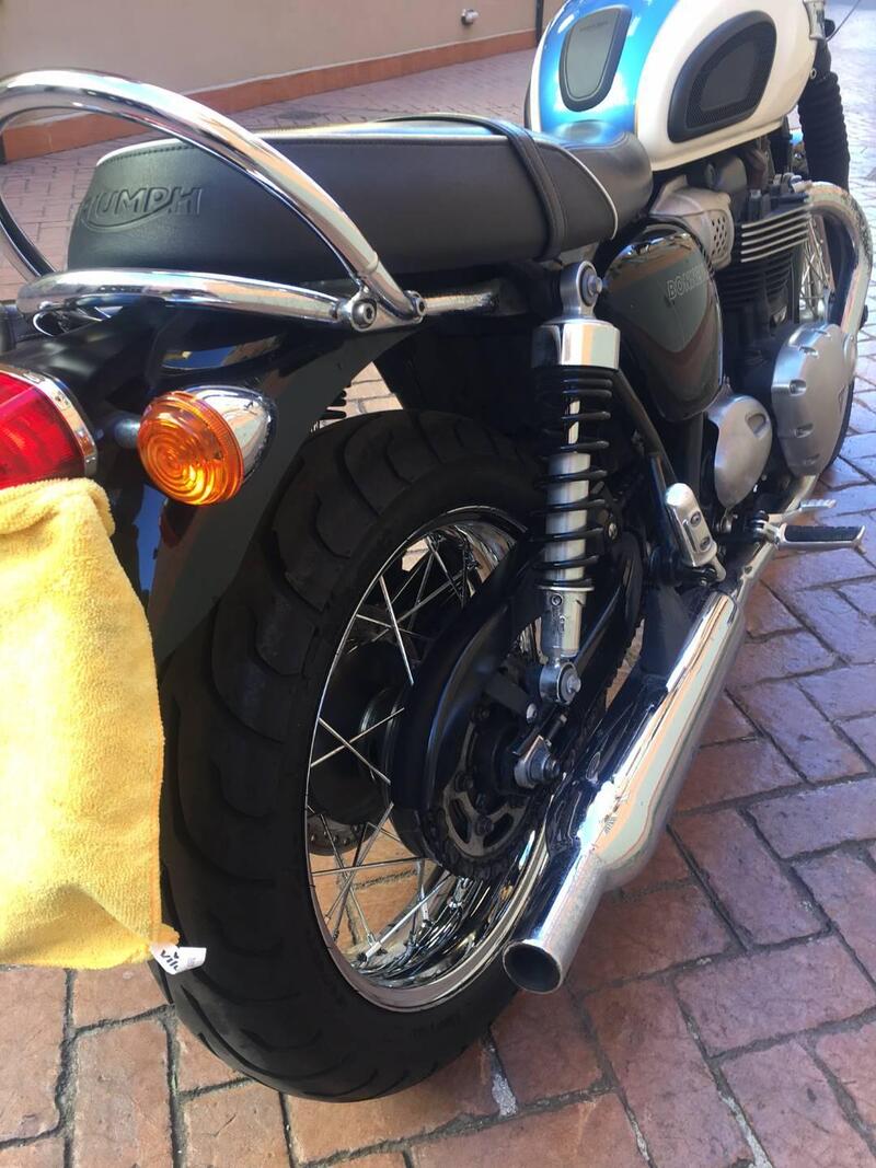 Triumph Bonneville T100 (2017 - 20) (5)