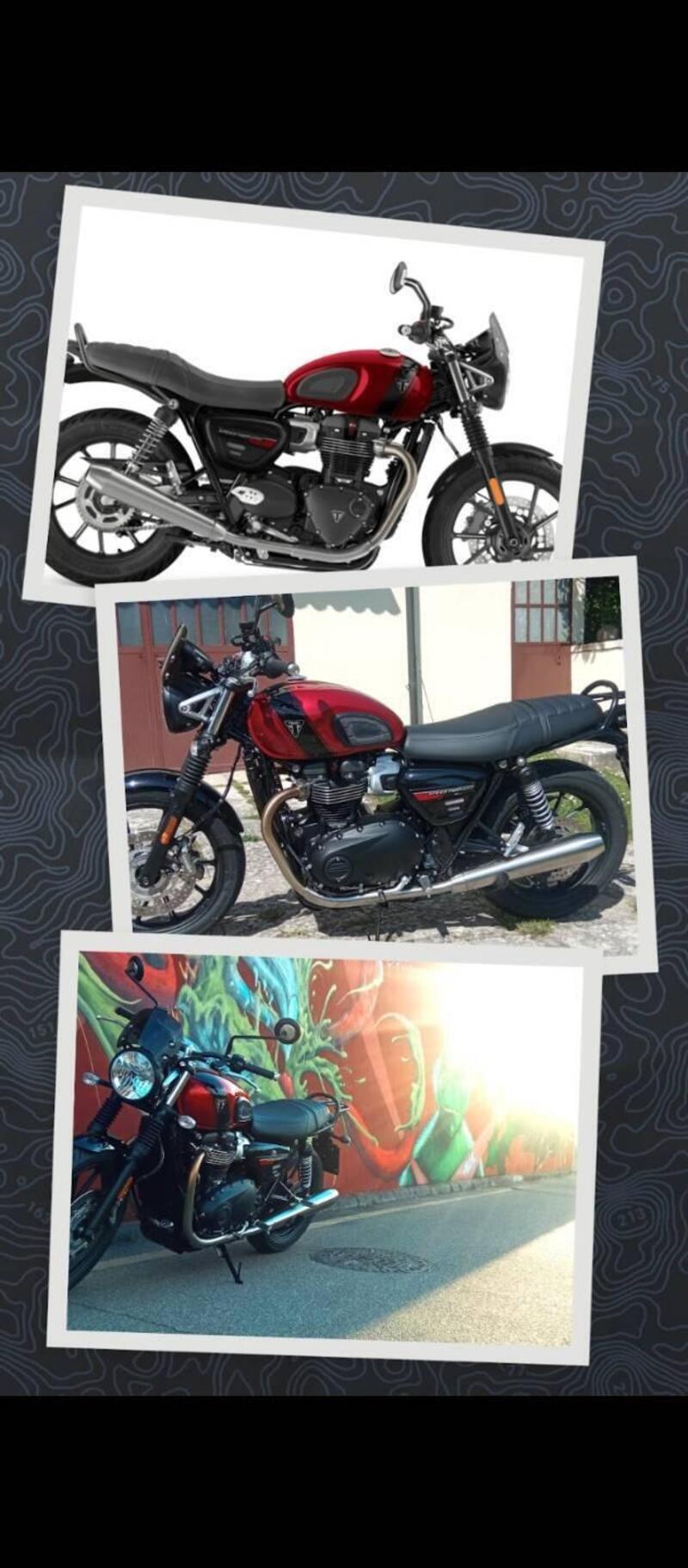 Triumph Speed Twin 900 (2023 - 24) (5)