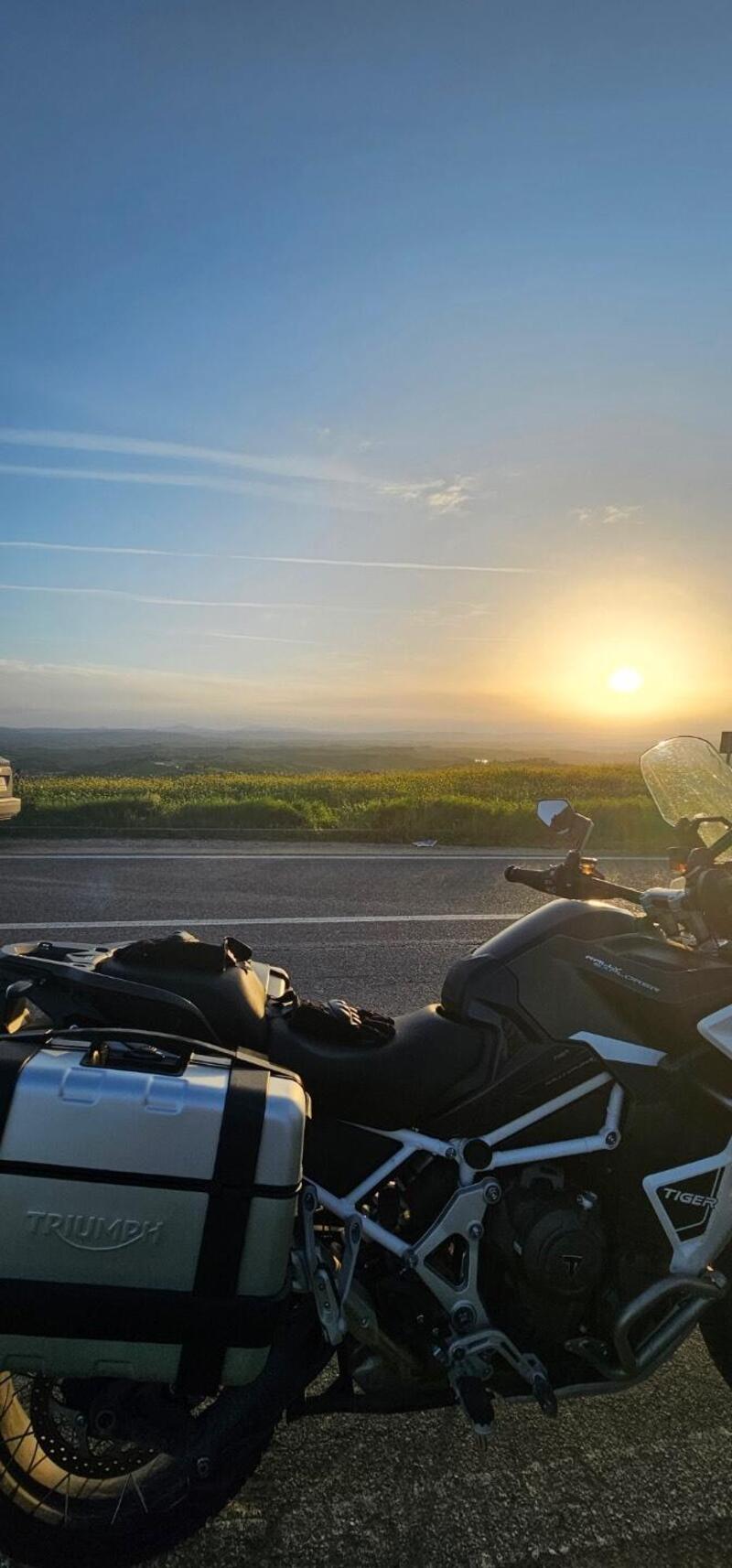 Triumph Tiger 1200 Rally Explorer (2022 - 23) (5)