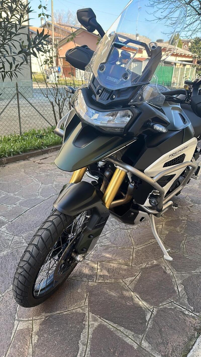 Triumph Tiger 1200 Rally Explorer (2022 - 23) (6)