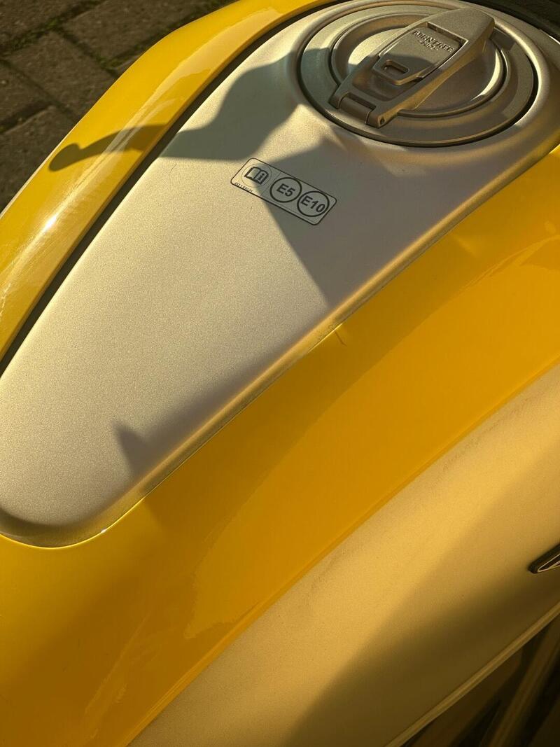 Ducati Scrambler 800 Icon (2023 - 24) (10)